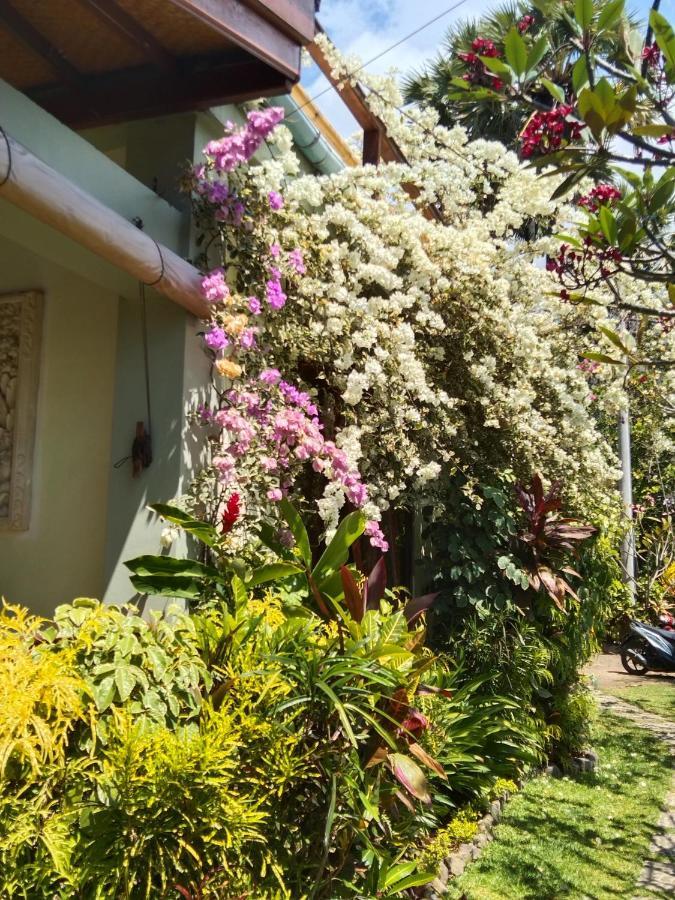 Villa Cantik Sambirenteng Gretek Exteriér fotografie