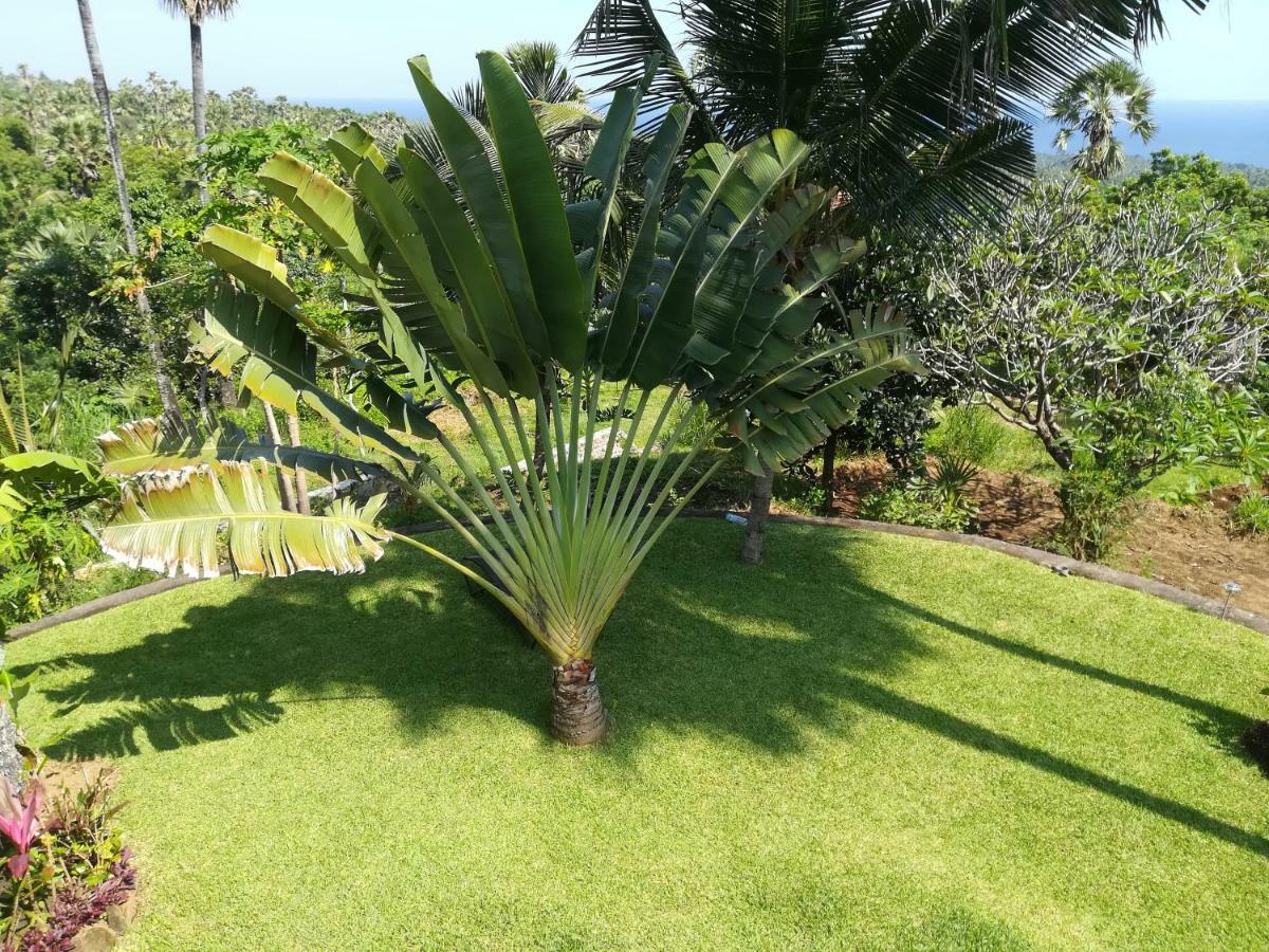 Villa Cantik Sambirenteng Gretek Exteriér fotografie